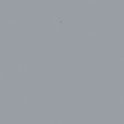 GRIS COBALTO