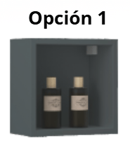 OPCIÓN 1